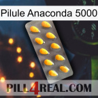 Anaconda 5000 Pill cialis1